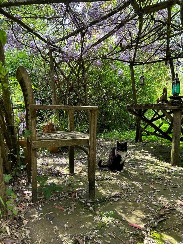 The Garden Room ริงวูด ภายนอก รูปภาพ